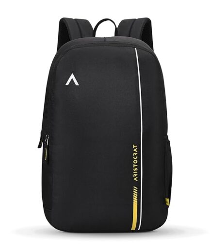 Laptop Backpack