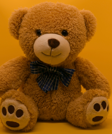 Soft Teddy Bear