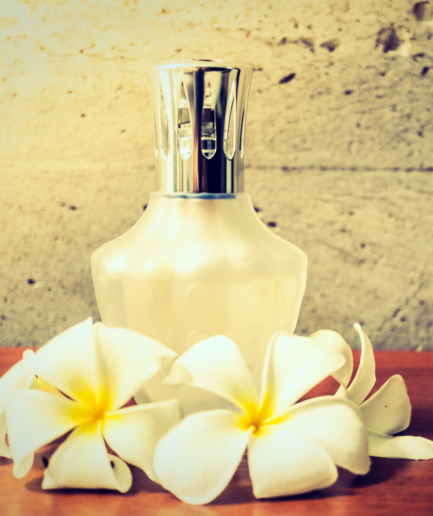 Vanilla Touch Perfume
